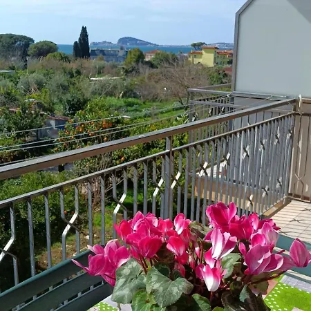 Orchidea Vista Mare *